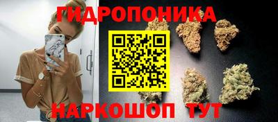 мдпв Тара