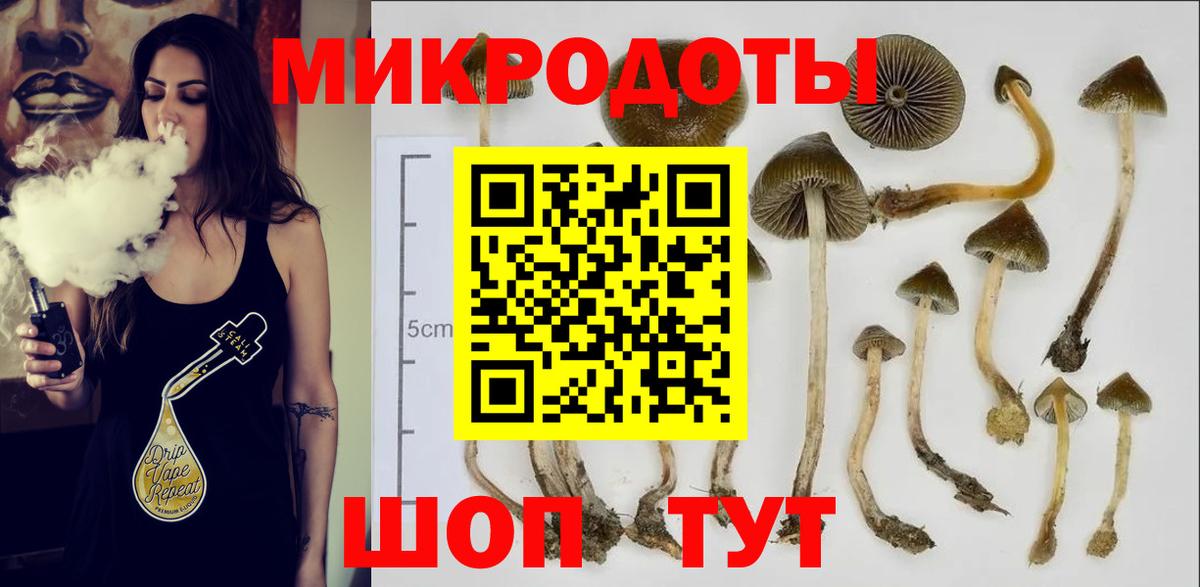Ногинск  Галлюциногенные грибы Psilocybine cubensis  Вход с VPN 